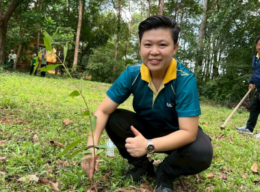 กิจกรรมวันต้นไม้ประจำปีของชาติ พ.ศ. 2568 พารามิเตอร์รูปภาพ 14